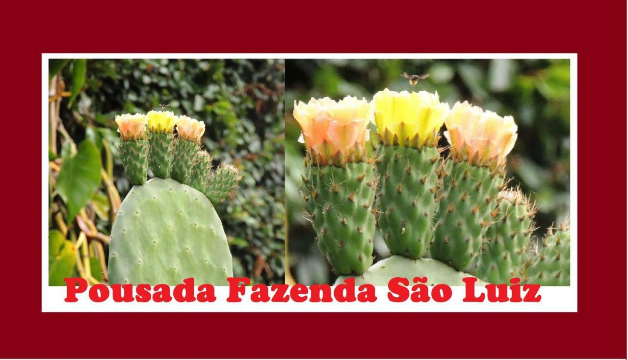 Fazenda Sao Luiz Inn São Luís do Paraitinga