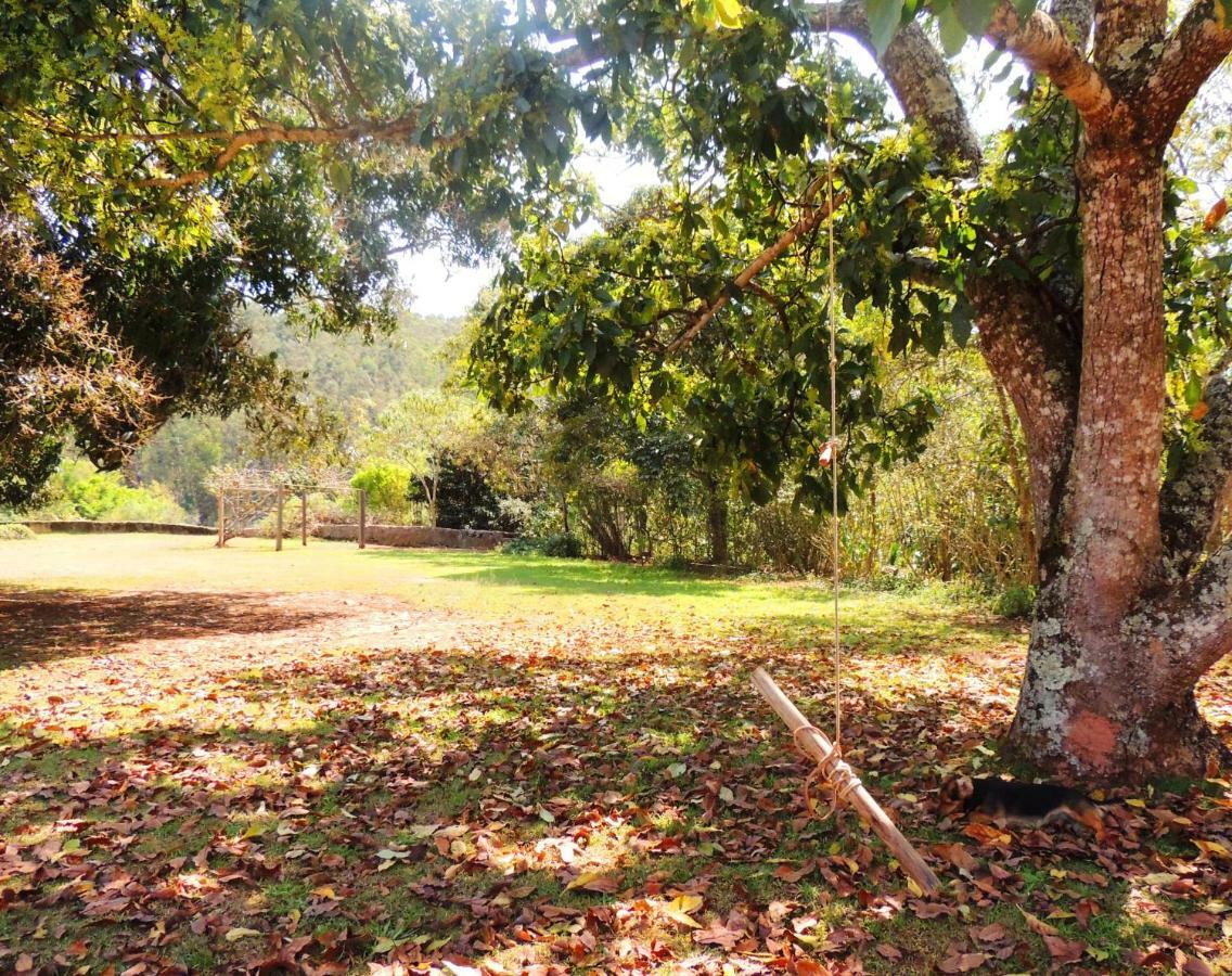 Fazenda Sao Luiz